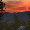 Sequoia Sunset II